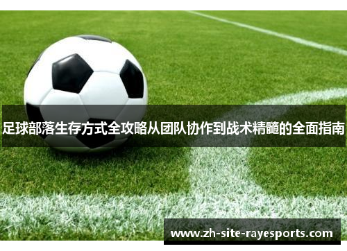足球部落生存方式全攻略从团队协作到战术精髓的全面指南