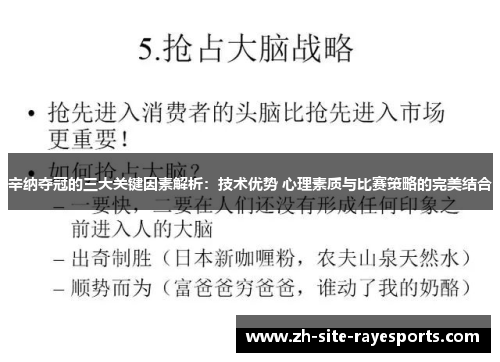 辛纳夺冠的三大关键因素解析：技术优势 心理素质与比赛策略的完美结合