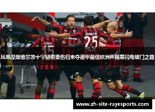 凤凰涅槃维尔茨十字韧带重伤归来夺德甲最佳欧洲杯揭幕闪电破门之路